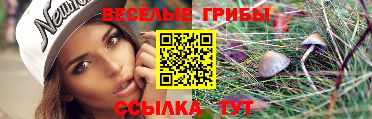 Галлюциногенные грибы мухоморы Сертолово